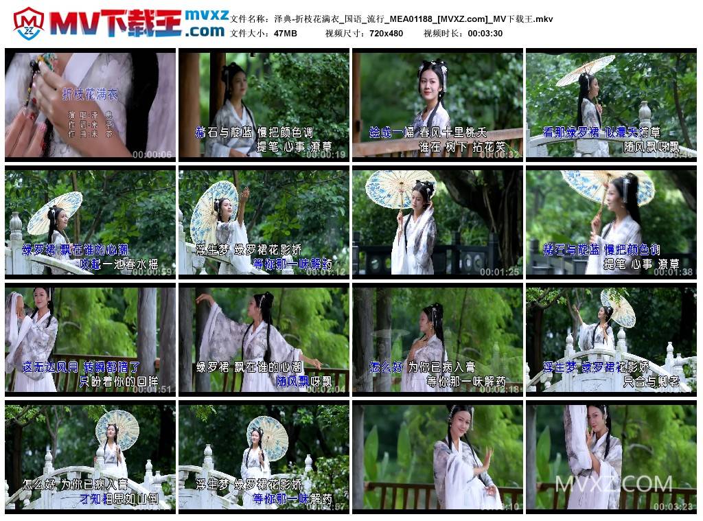 泽典-折枝花满衣_国语_流行_MEA01188